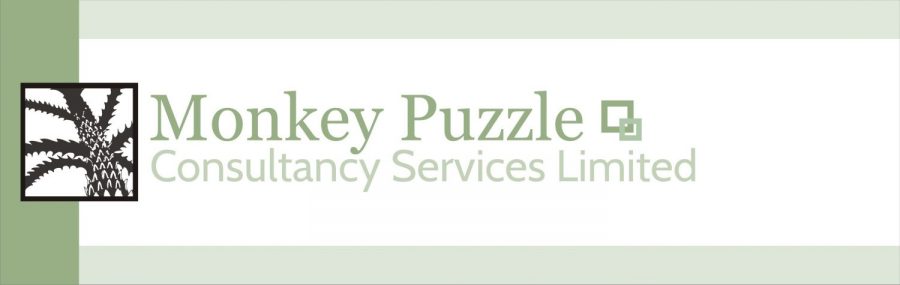 Monkey Puzzle Consulting